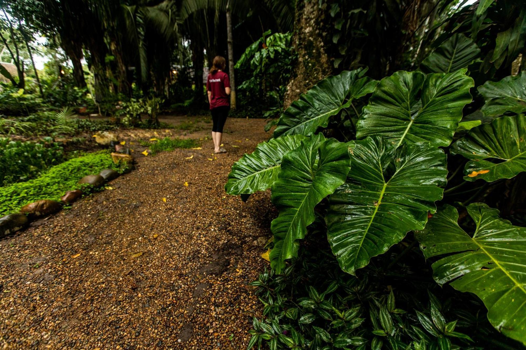 Kapievi Ecovillage Puerto Maldonado Luaran gambar